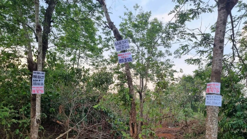 phú xuân 3.jpg