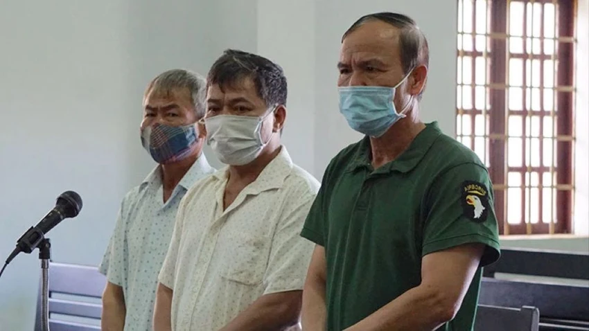 hủy hoại rừng 2.jpg
