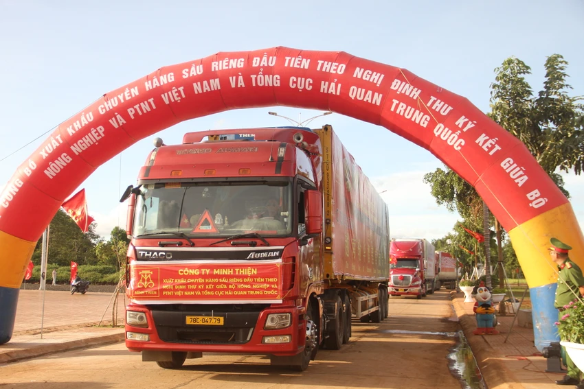 báo động đỏ 10.JPG