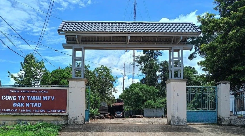 phó giám đốc.jpg