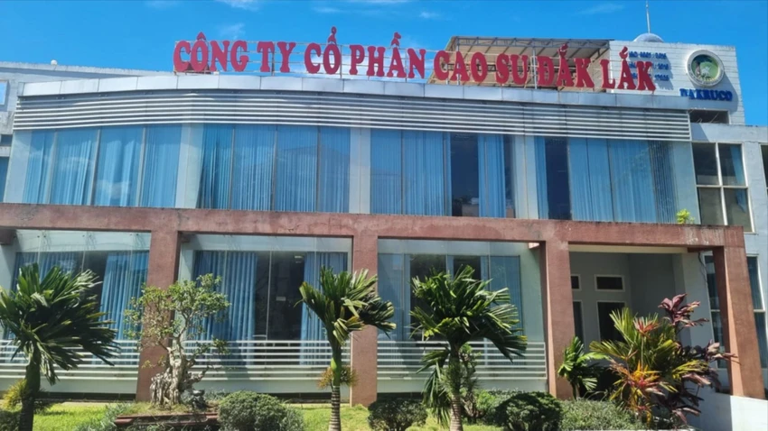 CÔNG TY CP CAO SU ĐẮK LẮK.jpg