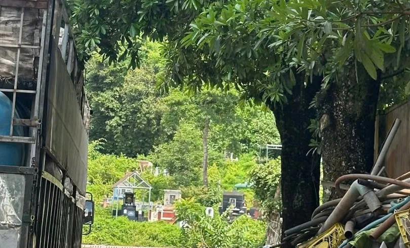 một thi thể.jpg