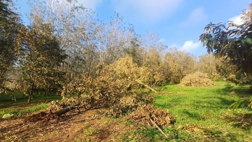 bão số 13 118.jpg