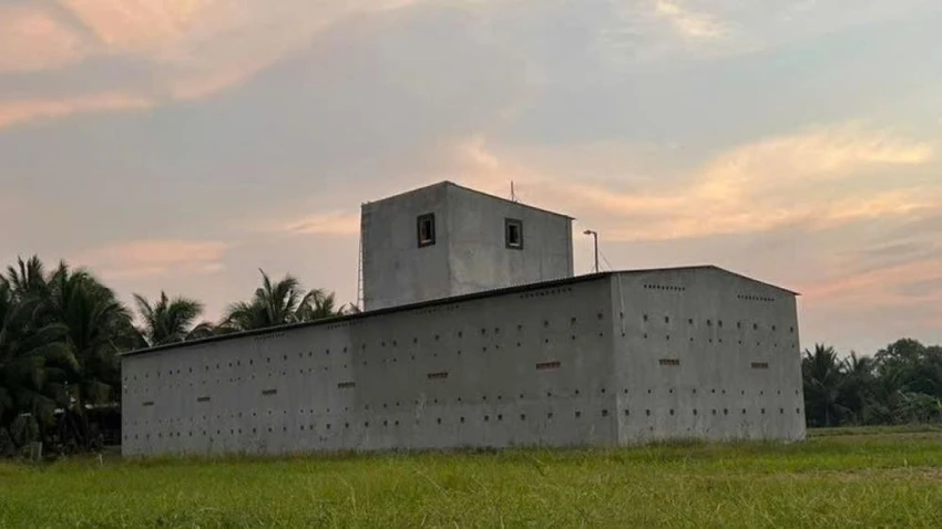 chim yến 4.jpg