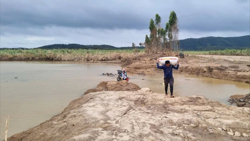 cánh đồng 2.jpg