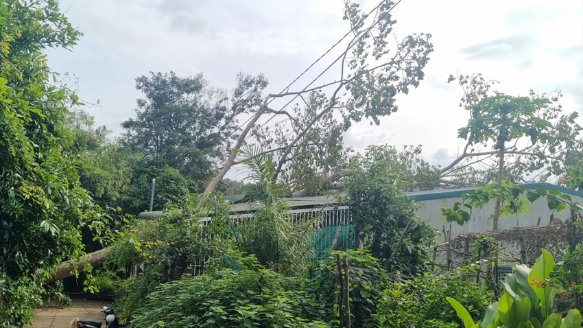 bật gốc 001.jpg