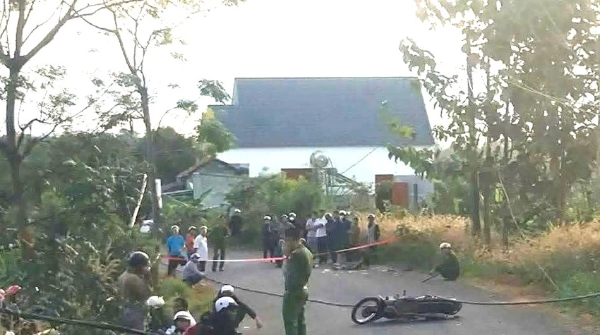 dây điện.jpg