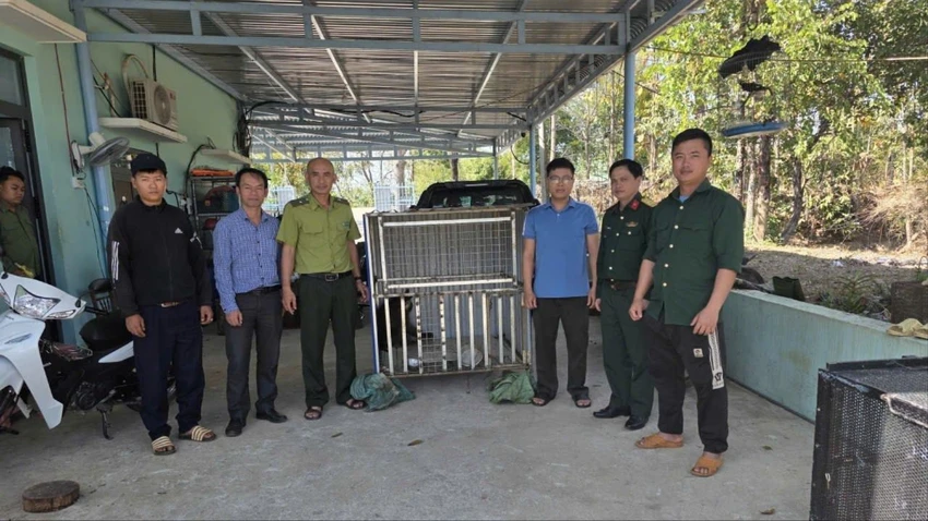 khỉ mốc 1.jpg