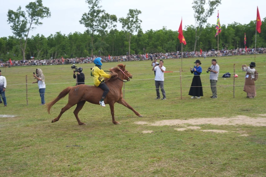 DSC05470.JPG