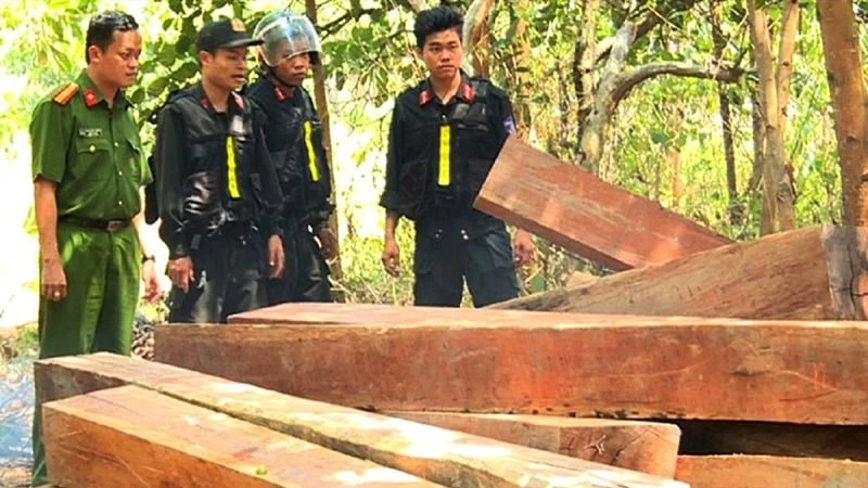 khởi tố.jpg