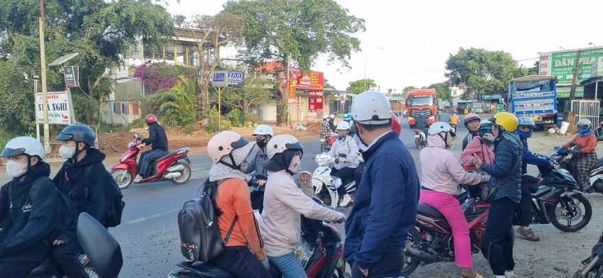 hồ tiêu 3.jpg