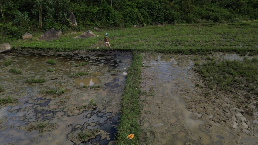 DẦU NHỚT 1.JPG