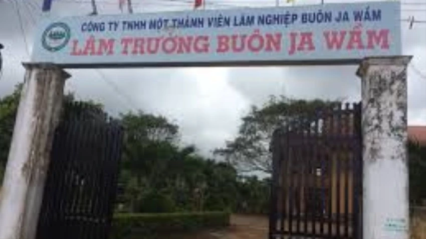 khai trừ.jpg