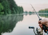 Vợ chồng gốc Việt ở Mỹ bị quản chế vì bán cá trái phép