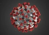 Nhật Bản tuyên bố cô lập thành công virus Corona