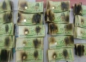 Lo COVID-19, người đàn ông Hàn Quốc bỏ tiền vào... lò vi sóng 