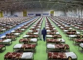 Iran: Chặn dịch COVID-19, không phải 'chiến tranh chính trị'