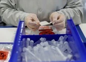 Mỹ tố Trung Quốc tấn công mạng lấy dữ liệu vaccine COVID-19