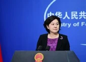 Trung Quốc quan ngại Nhật muốn G7 lên tiếng về Hong Kong