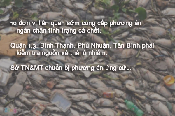 Năm nay, cá ở Nhiêu Lộc - Thị Nghè có chết? ảnh 1 Năm nay, cá ở Nhiêu Lộc - Thị Nghè có chết? ảnh 1