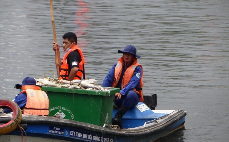 Kênh Thị Nghè “đứt đoạn”, ngăn cá chết thế nào? ảnh 1 Kênh Thị Nghè “đứt đoạn”, ngăn cá chết thế nào? ảnh 1