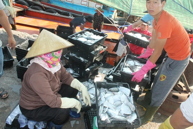 Để khôi phục và giúp ngư dân miền Trung vươn khơi cần có những con tàu lớn. Ảnh: VIẾT LONG