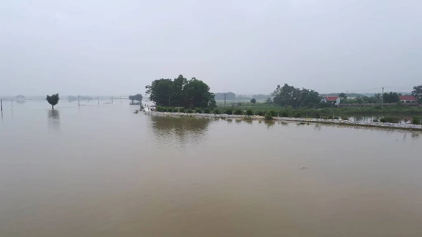 2.700 nhà dân Hà Nội vẫn ngập chìm trong lũ ảnh 2 2.700 nhà dân Hà Nội vẫn ngập chìm trong lũ ảnh 2