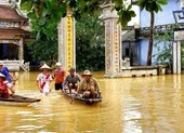 Thủ tướng: Cấp gạo hỗ trợ cứu đói nhân dân 4 tỉnh miền Trung
