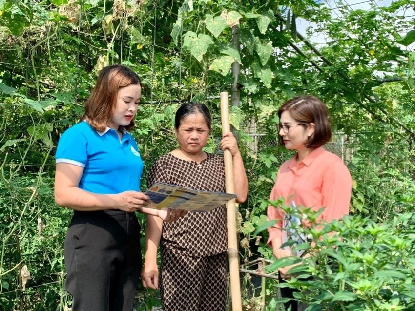 Tham gia CLB vườn rau an sinh, các hội viên phụ nữ tại xã Tượng Sơn (Hà Tĩnh) ngày càng tin tưởng, yên tâm tham gia BHXH tự nguyện. Tham gia CLB vườn rau an sinh, các hội viên phụ nữ tại xã Tượng Sơn (Hà Tĩnh) ngày càng tin tưởng, yên tâm tham gia BHXH tự nguyện.
