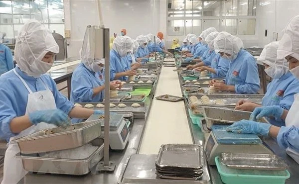 Doanh nghiệp thuỷ sản đang khó khăn hơn cả giai đoạn đỉnh dịch COVID-19. Ảnh minh hoạ: VASEP Doanh nghiệp thuỷ sản đang khó khăn hơn cả giai đoạn đỉnh dịch COVID-19. Ảnh minh hoạ: VASEP