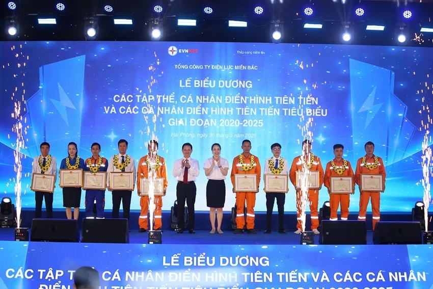dien-luc-mien-bac.jpg