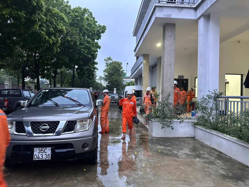 bão số 5