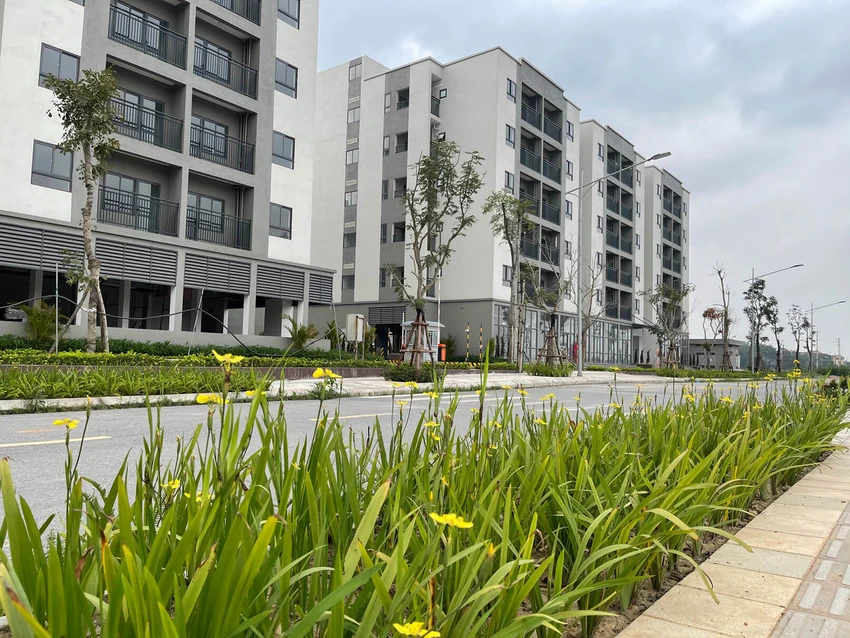 nha-o-xa-hoi-.jpeg