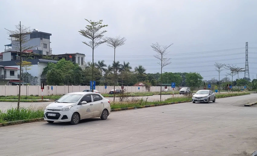 dao-tao-lai-xe-vn.jpg