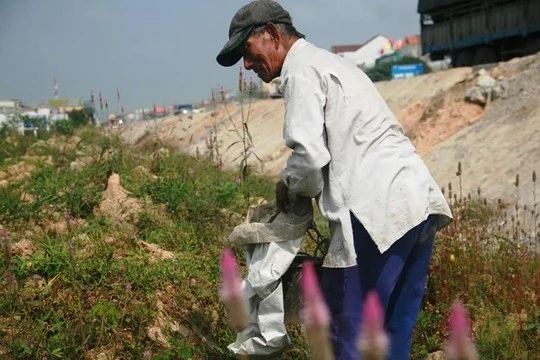 Dị nhân Huỳnh Hộ Dị nhân Huỳnh Hộ