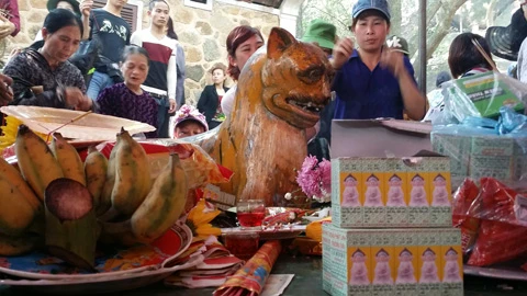 Hà Tĩnh, 'hổ thần', chùa Hương, chữa bệnh Hà Tĩnh, 'hổ thần', chùa Hương, chữa bệnh