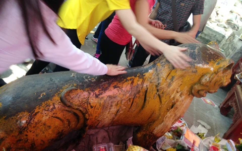 Hà Tĩnh, 'hổ thần', chùa Hương, chữa bệnh Hà Tĩnh, 'hổ thần', chùa Hương, chữa bệnh
