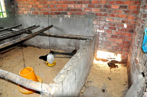 Gà, người nghèo, Bí thư, Chủ tịch xã, Quảng Nam