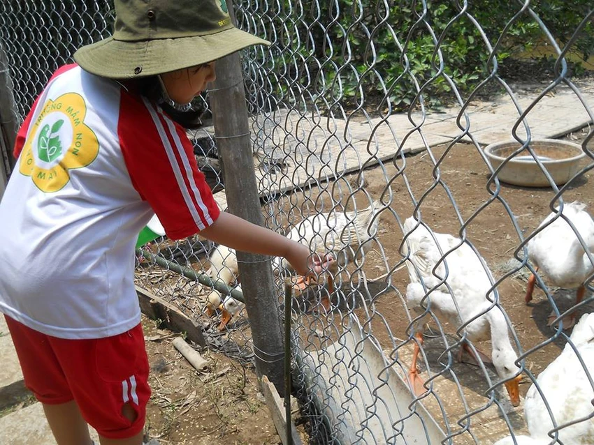 Ngộ nghĩnh bé mầm non tập làm nông dân ảnh 14