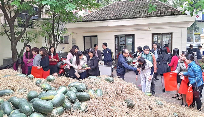 dưa hấu, nông sản, nông dân, chuyên gia, doanh nhân, Trung Quốc dưa hấu, nông sản, nông dân, chuyên gia, doanh nhân, Trung Quốc