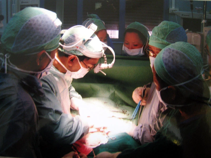 Võ Văn Kiệt, Sáu Dân, trí thức, Nguyễn Minh Triết, ghép gan, Trần Đông A