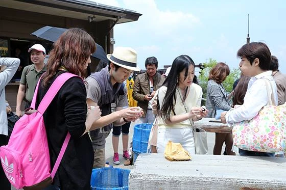 Công nghệ trứng Hakone và tạo niềm tin quốc tế của người Nhật ảnh 3 Công nghệ trứng Hakone và tạo niềm tin quốc tế của người Nhật ảnh 3