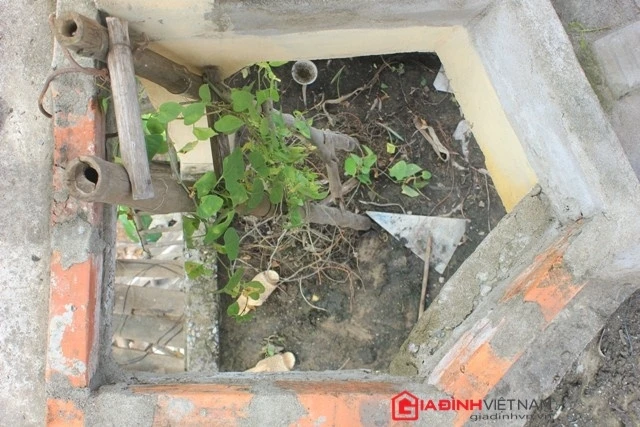 Ngôi nhà kỳ dị ở nghệ an Lối đi lên có nơi chỉ chui lọt một người với chiếc than tre dựng đứng