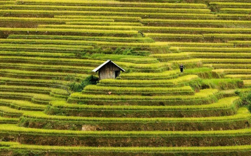 Sững sờ vẻ đẹp những ngôi nhà biệt lập ảnh 11 Sững sờ vẻ đẹp những ngôi nhà biệt lập ảnh 11