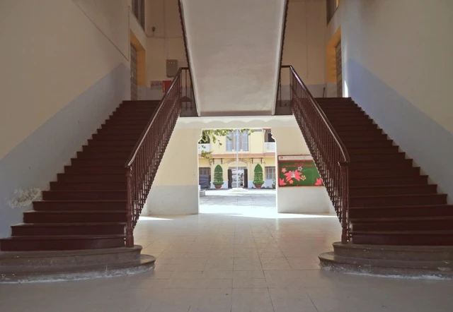 ĐH Sài Gòn - vẻ quyến rũ dịu dàng của ngôi trường trăm tuổi ảnh 5 ĐH Sài Gòn - vẻ quyến rũ dịu dàng của ngôi trường trăm tuổi ảnh 5