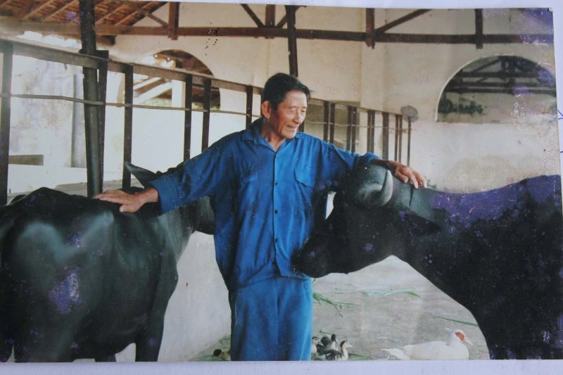 Vĩnh biệt người anh hùng ‘chân đất’ Hồ Giáo ảnh 2