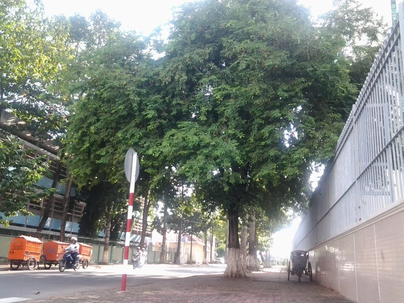 Bình yên ở con đường ngắn nhất Biên Hòa ảnh 3 Bình yên ở con đường ngắn nhất Biên Hòa ảnh 3