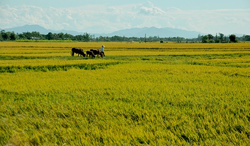Trường Sơn - Cung đường phải phượt một lần trong đời ảnh 8 Trường Sơn - Cung đường phải phượt một lần trong đời ảnh 8