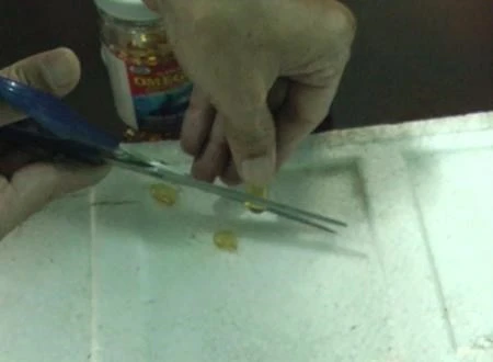 Viên dầu cá Omega-3 Trung Quốc ăn thủng tấm xốp ảnh 2