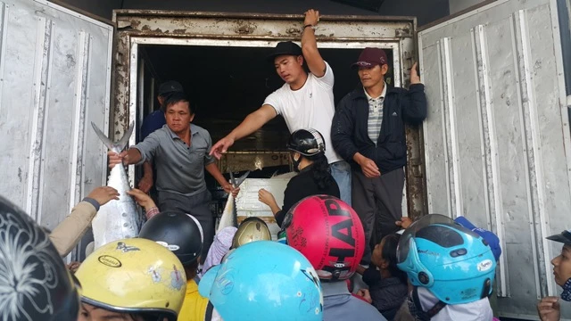 Dân ùn ùn đổ ra chợ vì ngư dân trúng đậm cá bẹ xước ảnh 1 Dân ùn ùn đổ ra chợ vì ngư dân trúng đậm cá bẹ xước ảnh 1